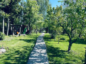7 Stron Świata, Augustow
